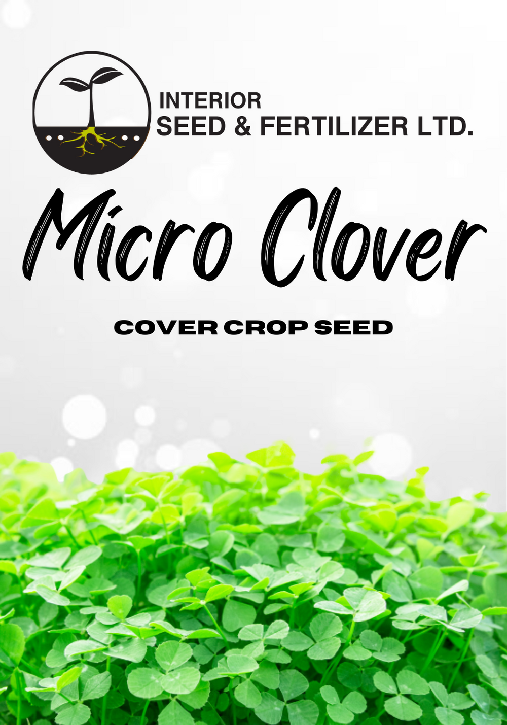 Revitalize your soil with our low-growing, nitrogen-fixing Micro Clover cover crop seeds. From Interior SEed and Fertilizer Garden Center, Cranbrook BC