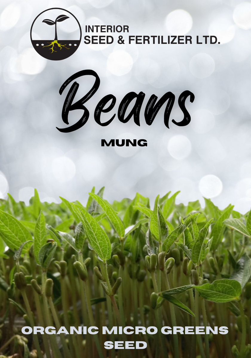 Mung Bean Microgreen Seeds Interior Seed & Fertilizer