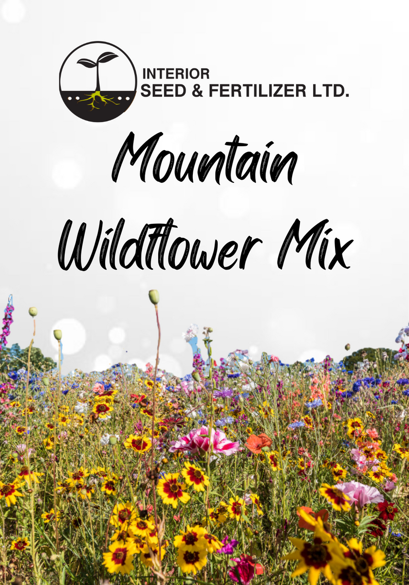 Mountain Wildflower Mix Interior Seed & Fertilizer