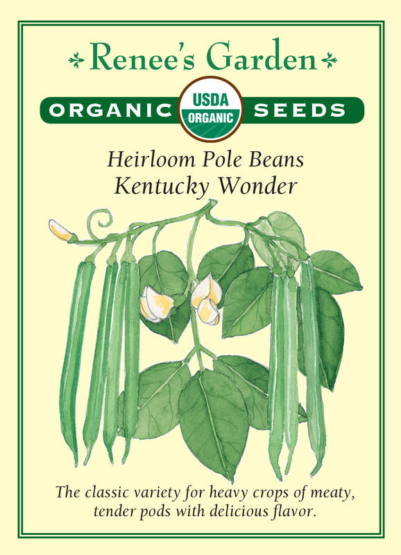 Beans - Kentucky Wonder Organic
