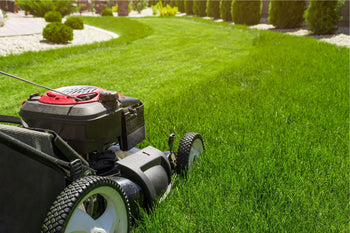 Lawn mower on a green lawn