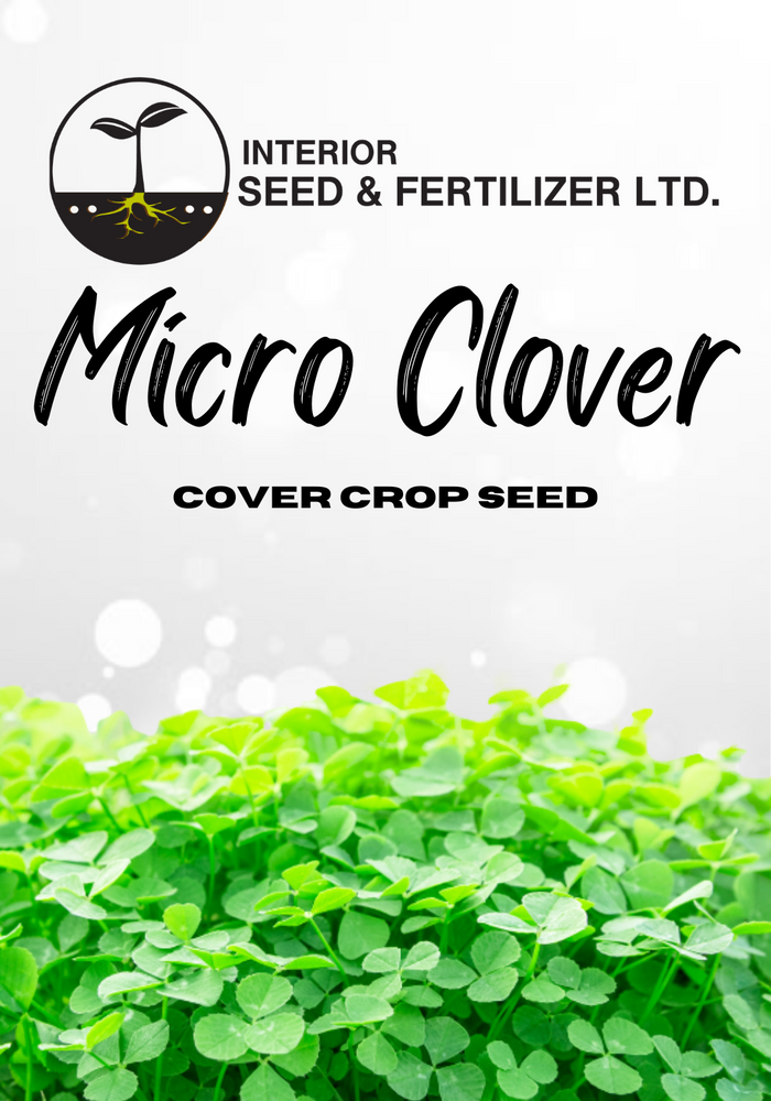 High Performance Lawn and Turf Seed Blend. A premium lawn seed blend designed for a beautiful lush, golf course like lawn that can withstand high traffic. From Interior Seed and Fertilizer Garden Center Cranbrook BC