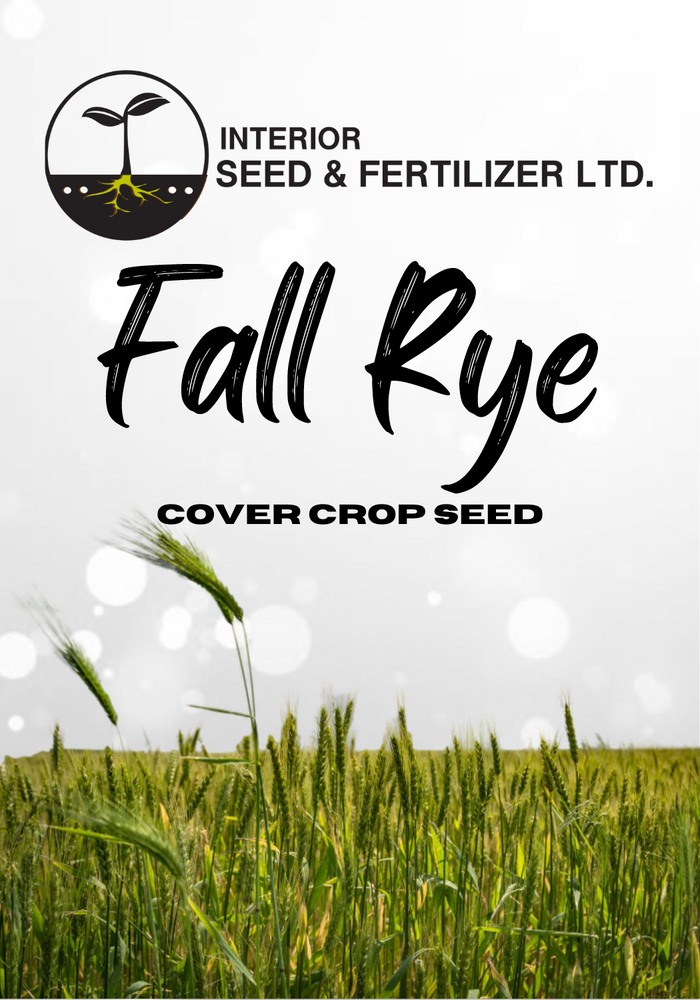 Fall Rye Cover Crop Seed to suppress weeds and prevent erosion during the winter. From Interior Seed and Fertilizer Cranbrook BC