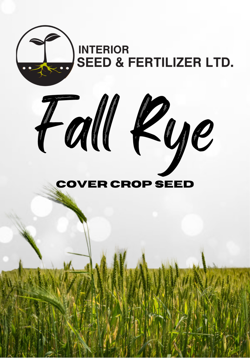 Fall Rye Cover Crop Seed – Interior Seed & Fertilizer