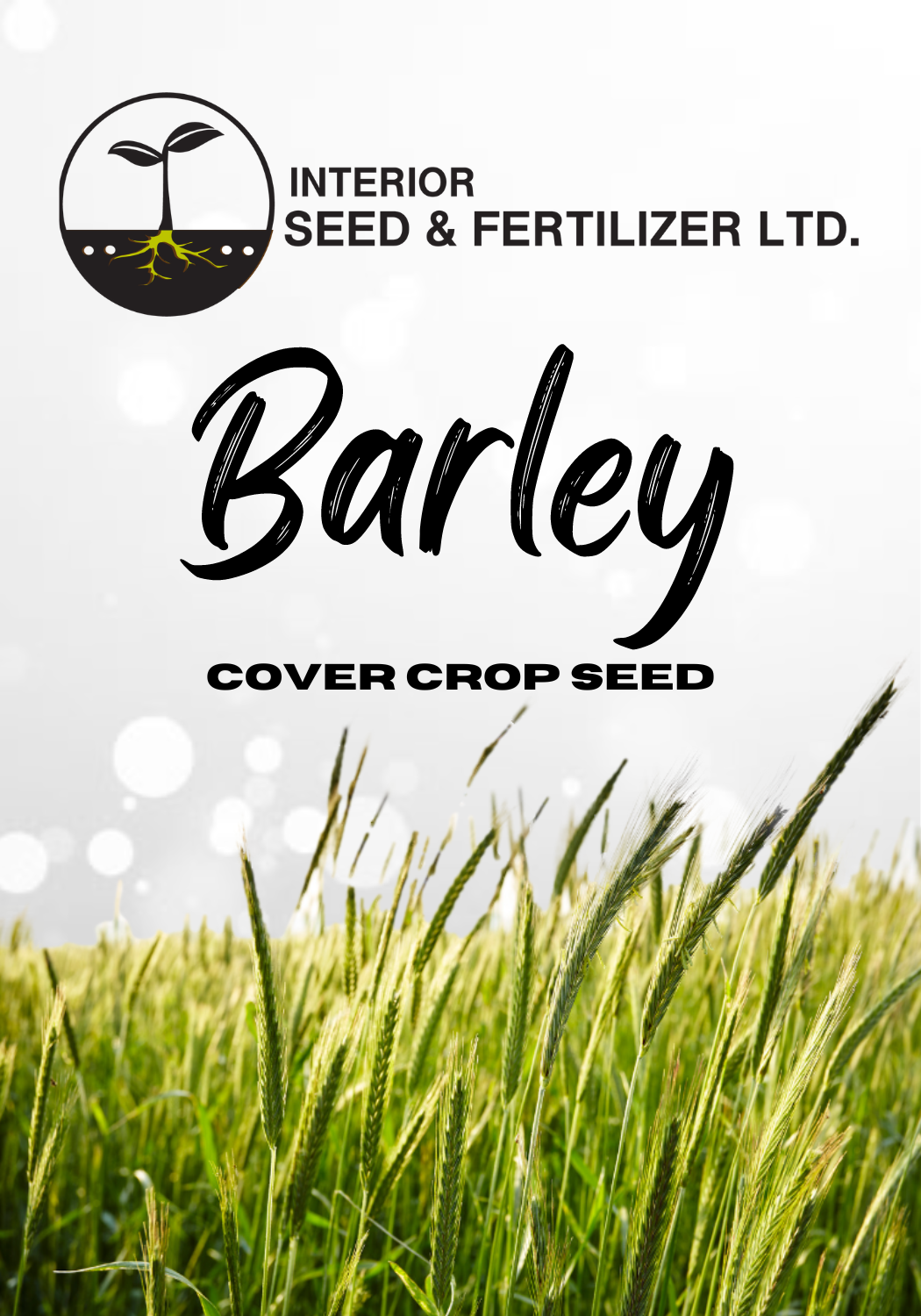 Barley Cover Crop Seed at Interior Seed and Fertilizer Garden Center Cranbrook, BC