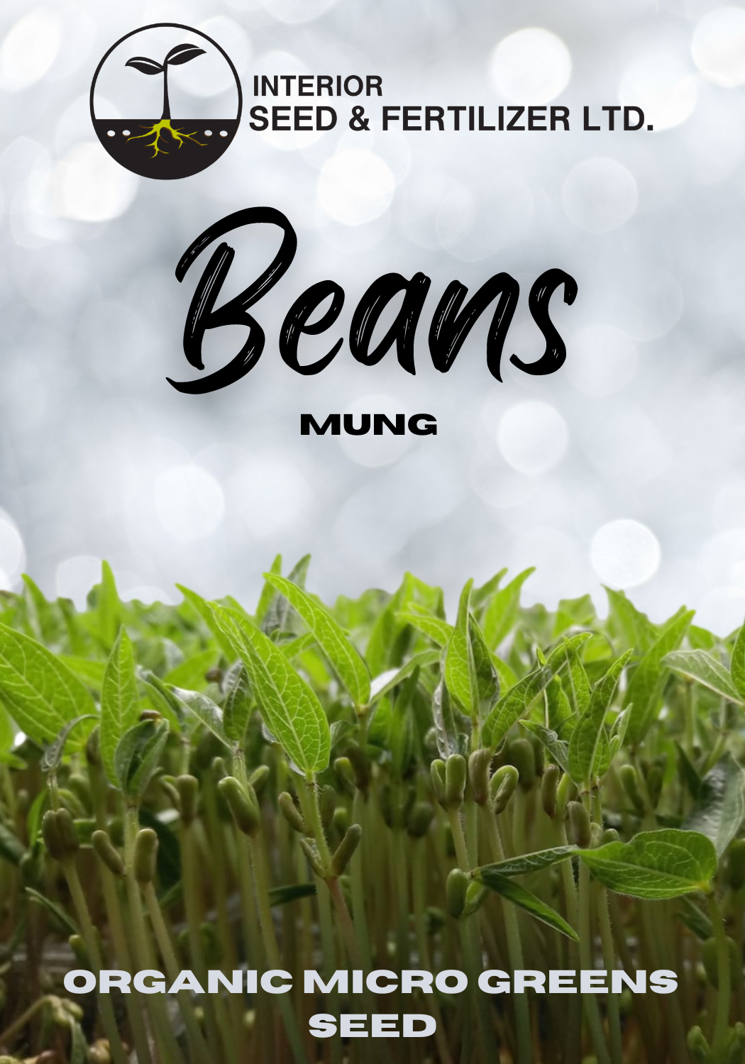 Mung Beans Organic Microgreens. These petite greens boast a mild, fresh flavor that pairs well with a variety of dishes. From Interior Seed and Fertilizer Garden Center and Nursery Cranbrook, BC.