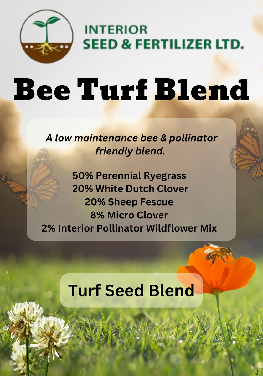 Bee Turf Blend – Interior Seed & Fertilizer