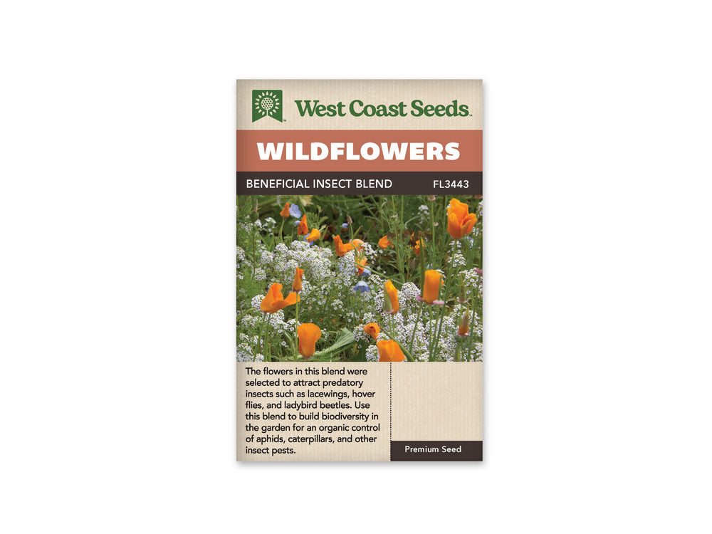 Wildflowers - Beneficial Insect Blend