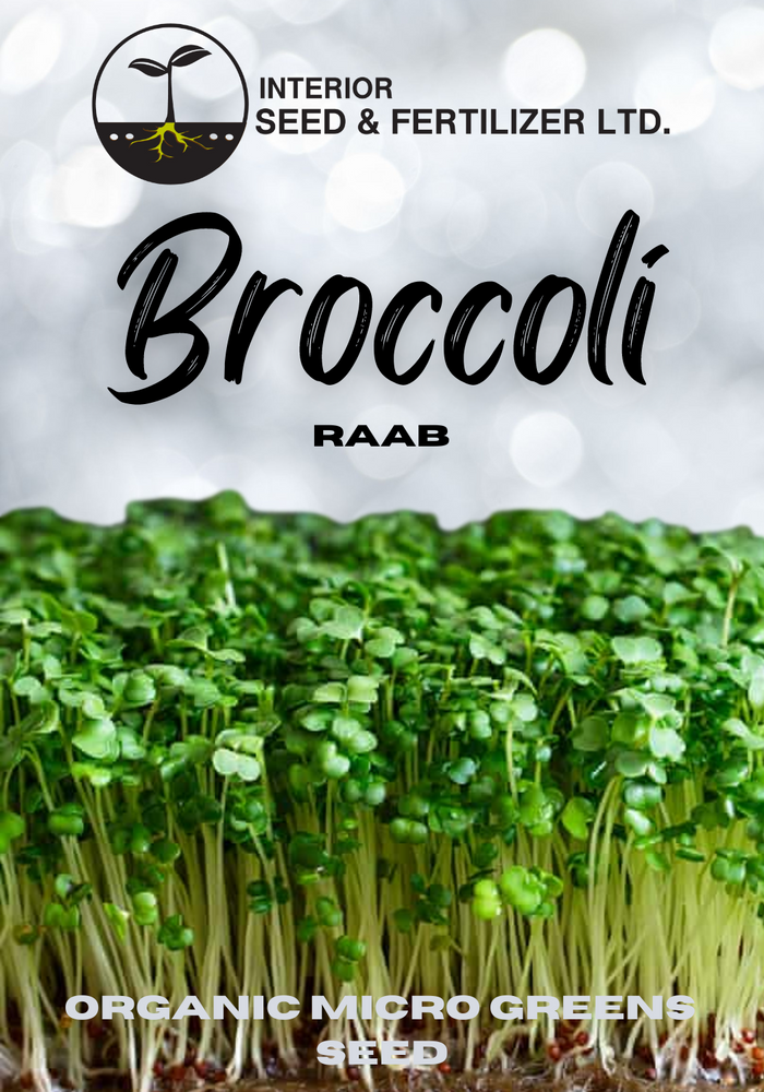 Broccoli Raab Organic Micro Greens Seeds from Interior Seed and Fertilizer Garden Center Cranbrook BC. Grow them with ease and relish the vibrant green color and distinct taste that will bring a fresh twist to your salads, stir-fries, and more.