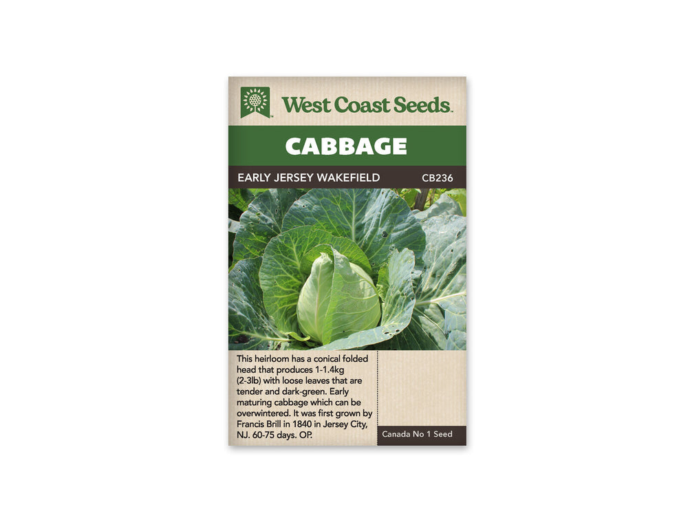 Cabbage - Early Jersey Wakefield