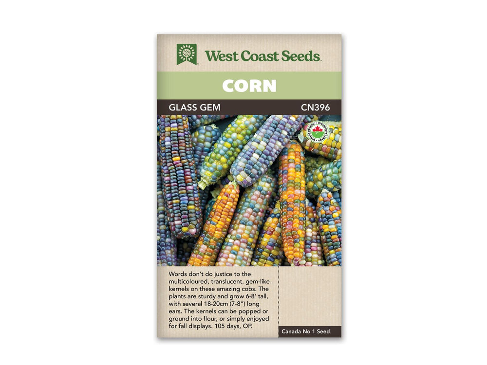 Corn - Glass Gem Organic