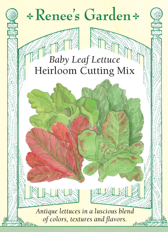 Lettuce - Heirloom Cutting Mix