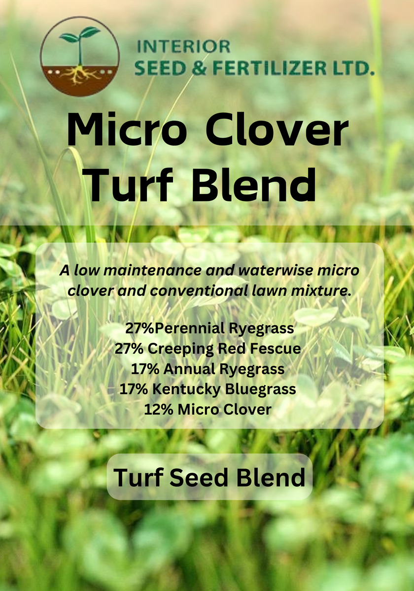 Micro Clover Turf Blend – Interior Seed & Fertilizer