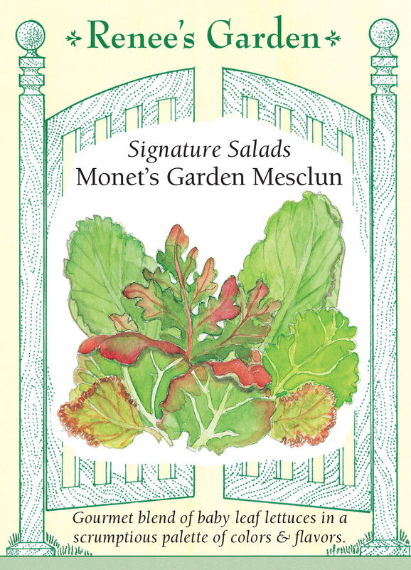 Lettuce - Monet's Garden Mesclun