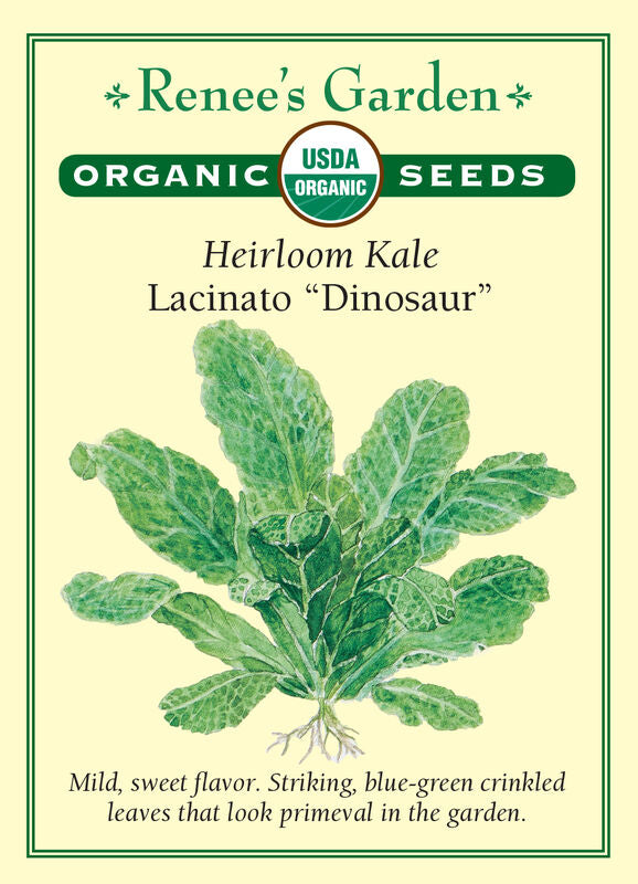 Kale - Lacinato Organic