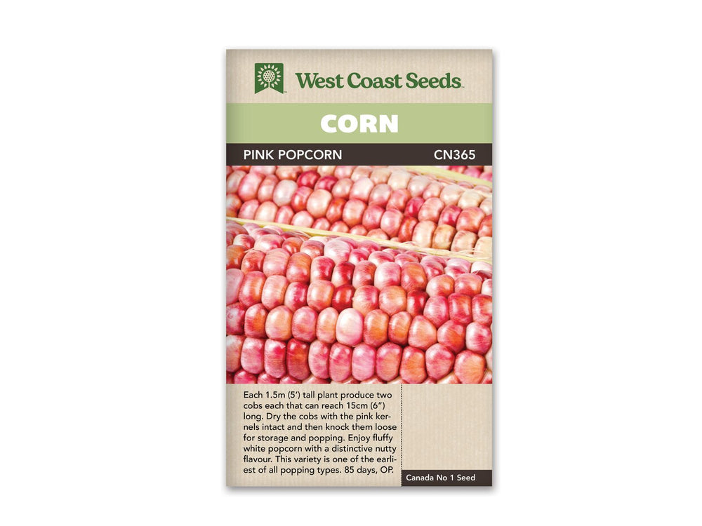 Corn - Pink Popcorn