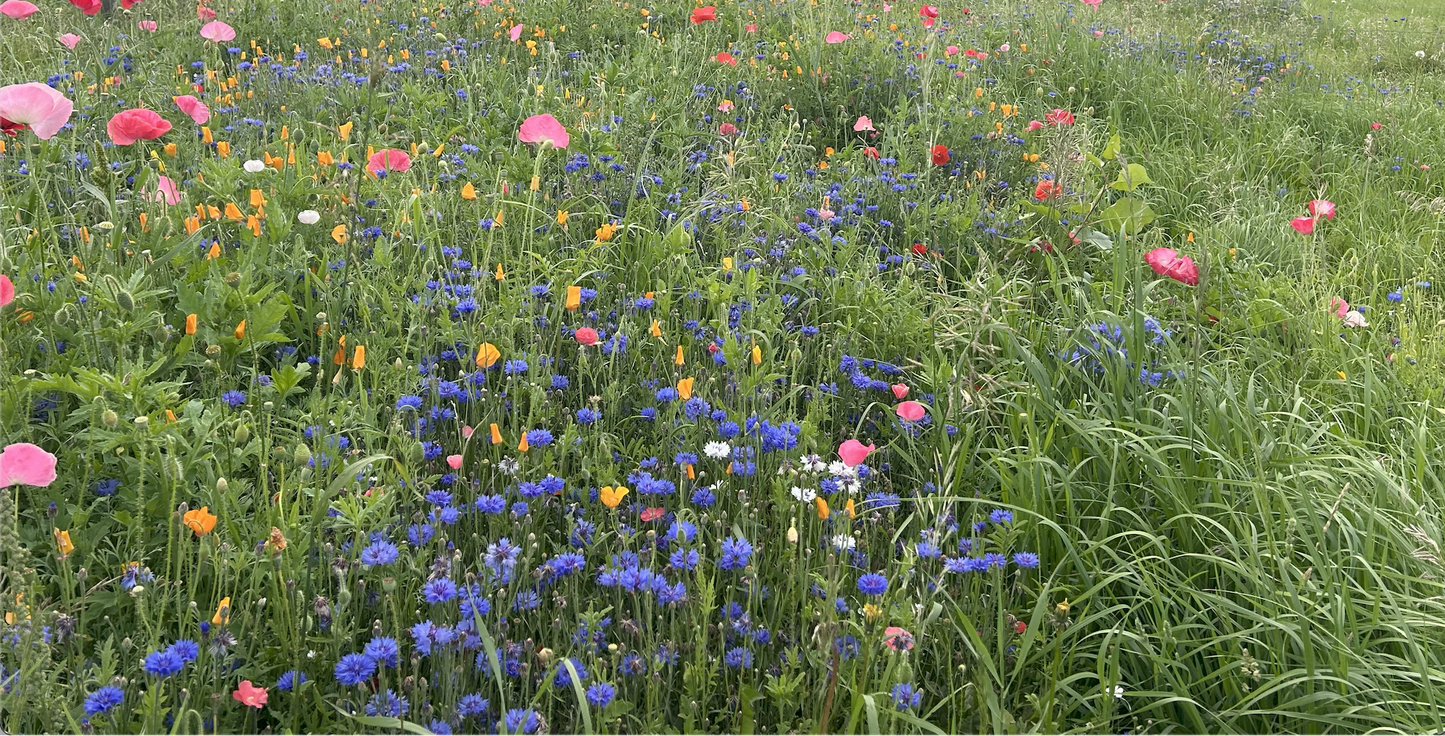 Interior Seed & Fertilizer