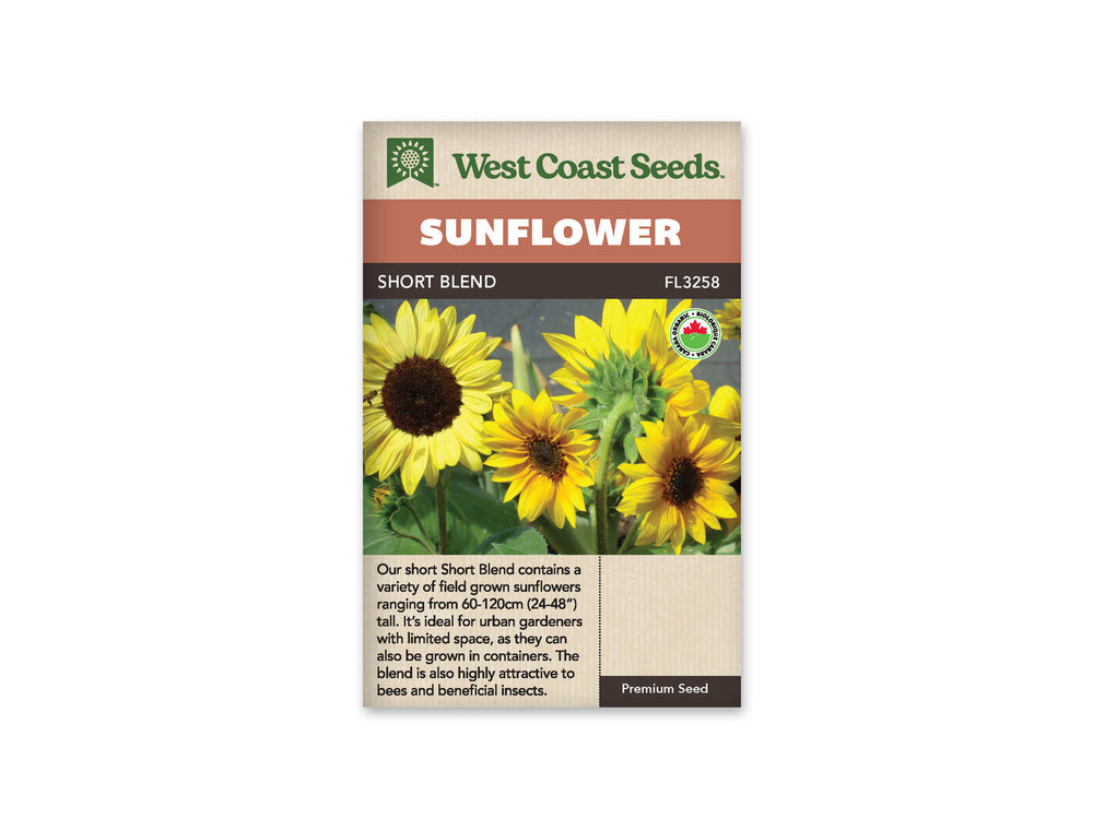 Sunflower - Short Blend Organic