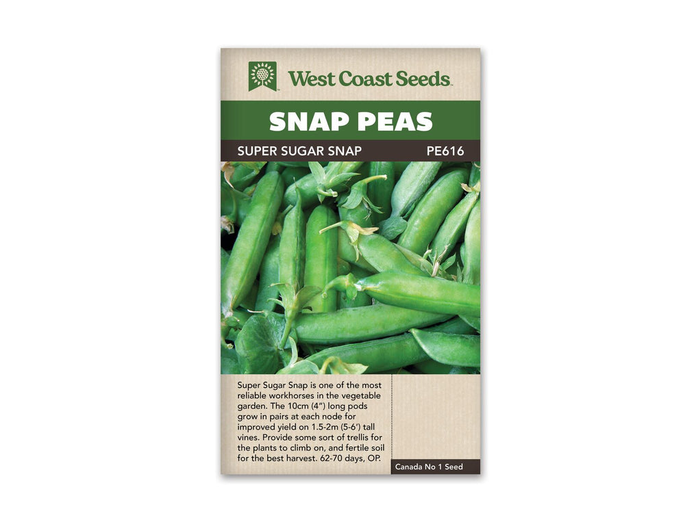 Peas - Super Sugar Snap Pea