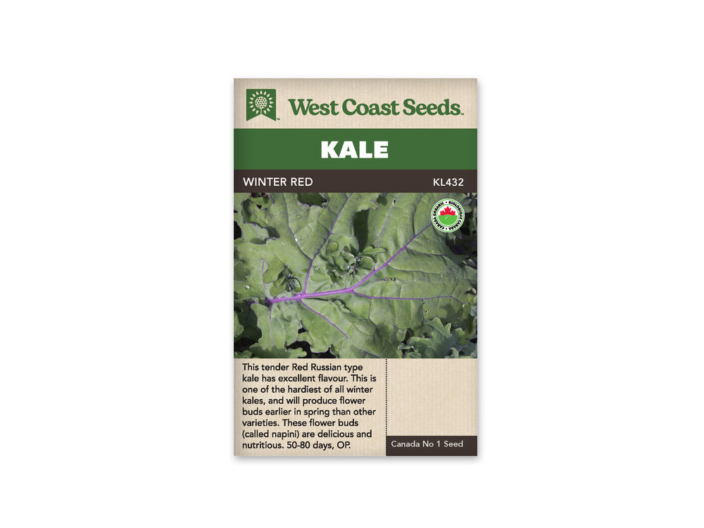 Kale - Winter Red Organic