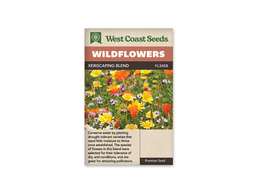 Wildflowers - Xeriscaping Bland