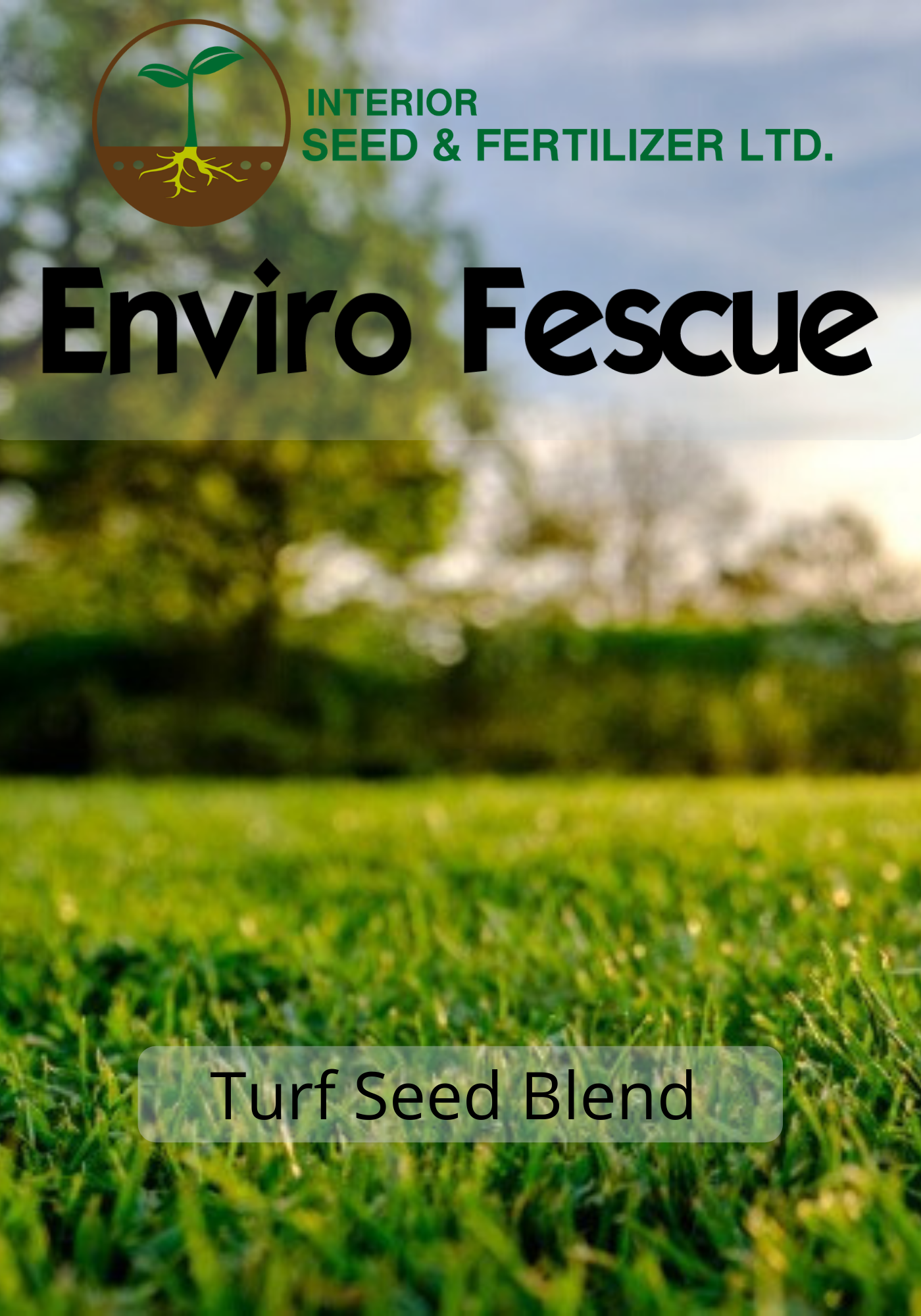 Lawn and Turf Blend called Enviro Fescue with Chewings Fescue, Eureka ll Hard Fescue,Annual Ryegrass, Creeping Red Fescue, Sheep Fescue from Interior Seed and Fertilizer Garden Centre in Cranbrook, BC