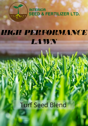 High Performance Lawn and Turf Seed Blend. A premium lawn seed blend designed for a beautiful lush, golf course like lawn that can withstand high traffic. From Interior Seed and Fertilizer Garden Center Cranbrook BC